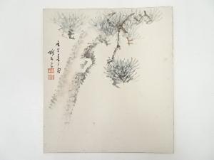 河野珠石筆　松図　肉筆色紙